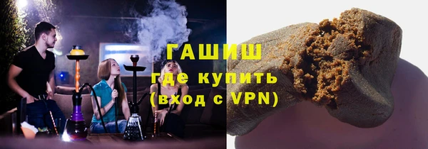 прущие грибы Белокуриха